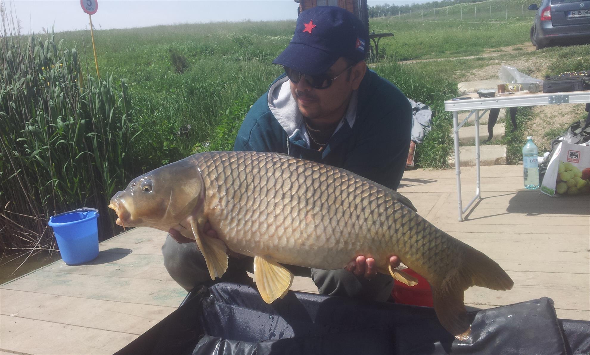 Moara Vlasiei 2, 3 mai 2014 - 20140503131205.jpg